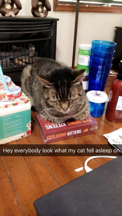 Un chat dort sur la boîte du jeu &quot;Exploding Kittens&quot;, avec la légende : &quot;Hé tout le monde, regardez sur quoi mon chat s'est endormi&quot;
