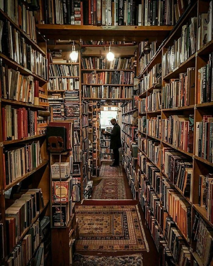 舒適宏偉的圖書館，高聳的木質書架擺滿書籍，一位讀者在奇幻書店中瀏覽。