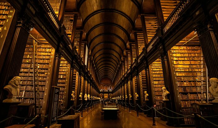 Grandiose and cosy library interior with towering bookshelves, wooden arches, and marble busts lining a grand aisle.