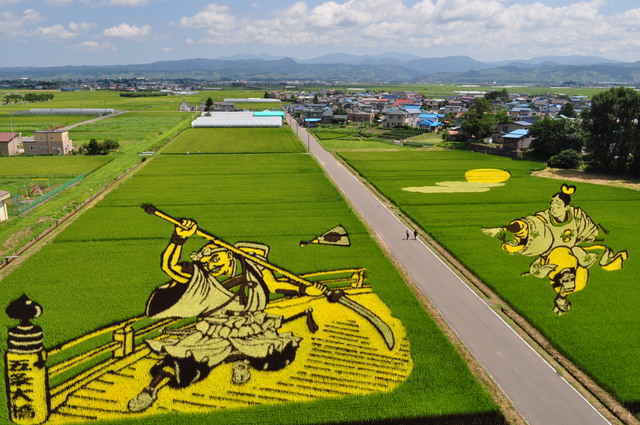 Rice paddy art